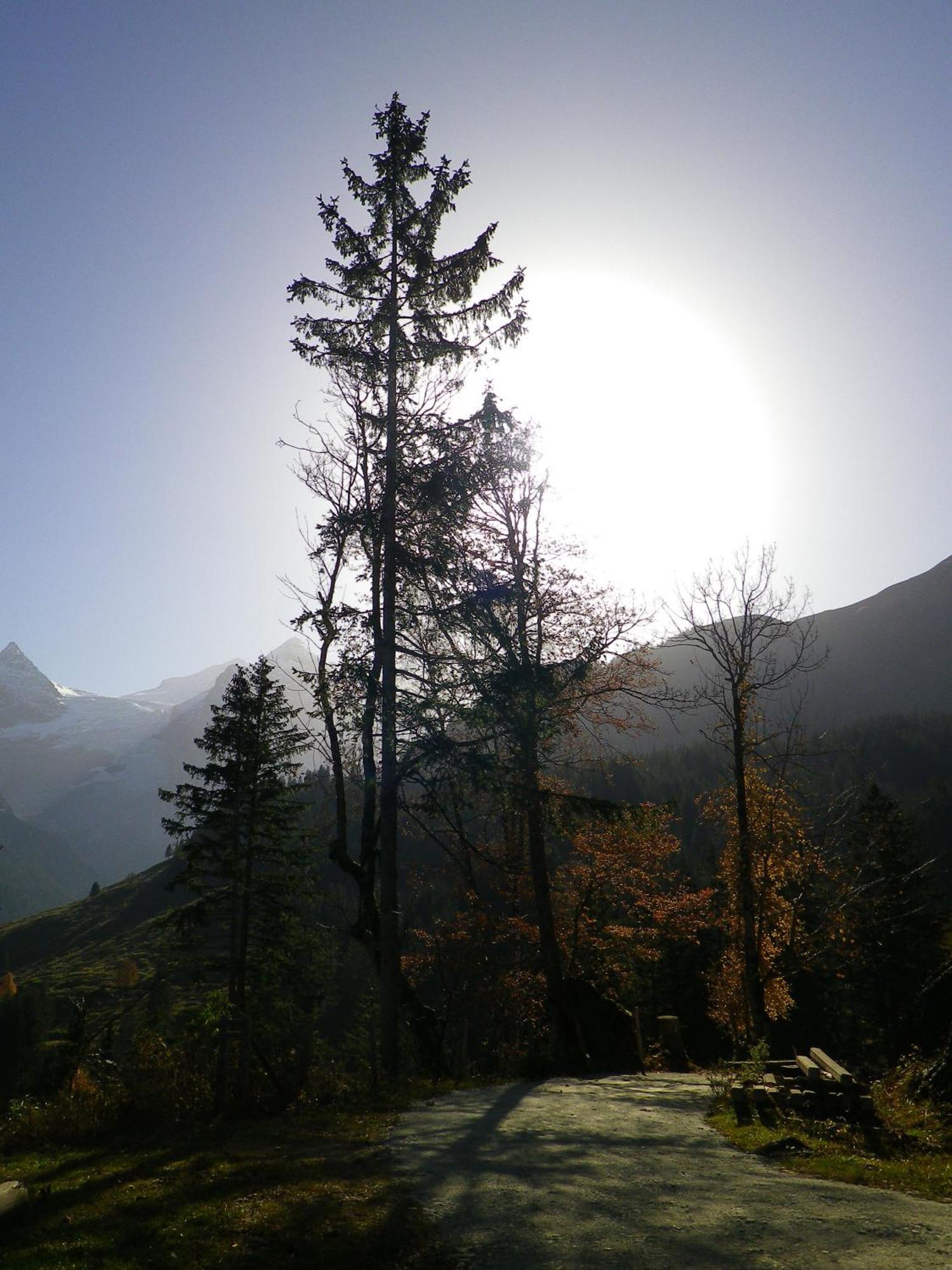 Alpenlodge Willigen Exteriör bild