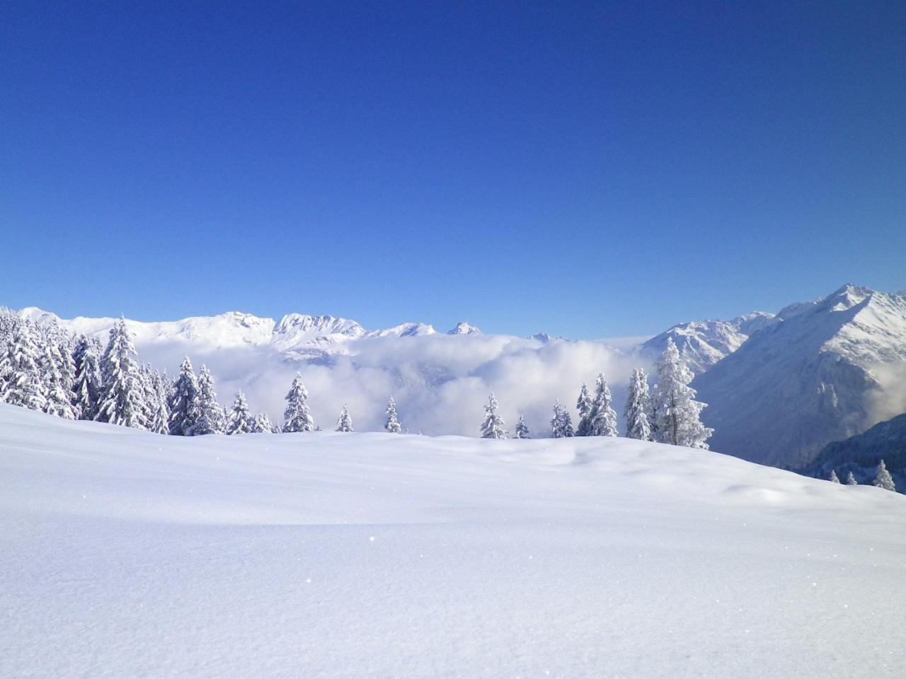 Alpenlodge Willigen Exteriör bild