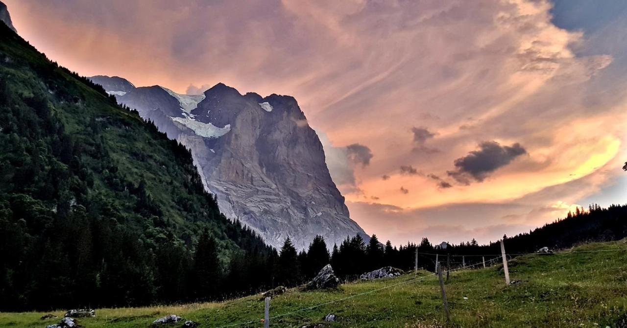 Alpenlodge Willigen Exteriör bild