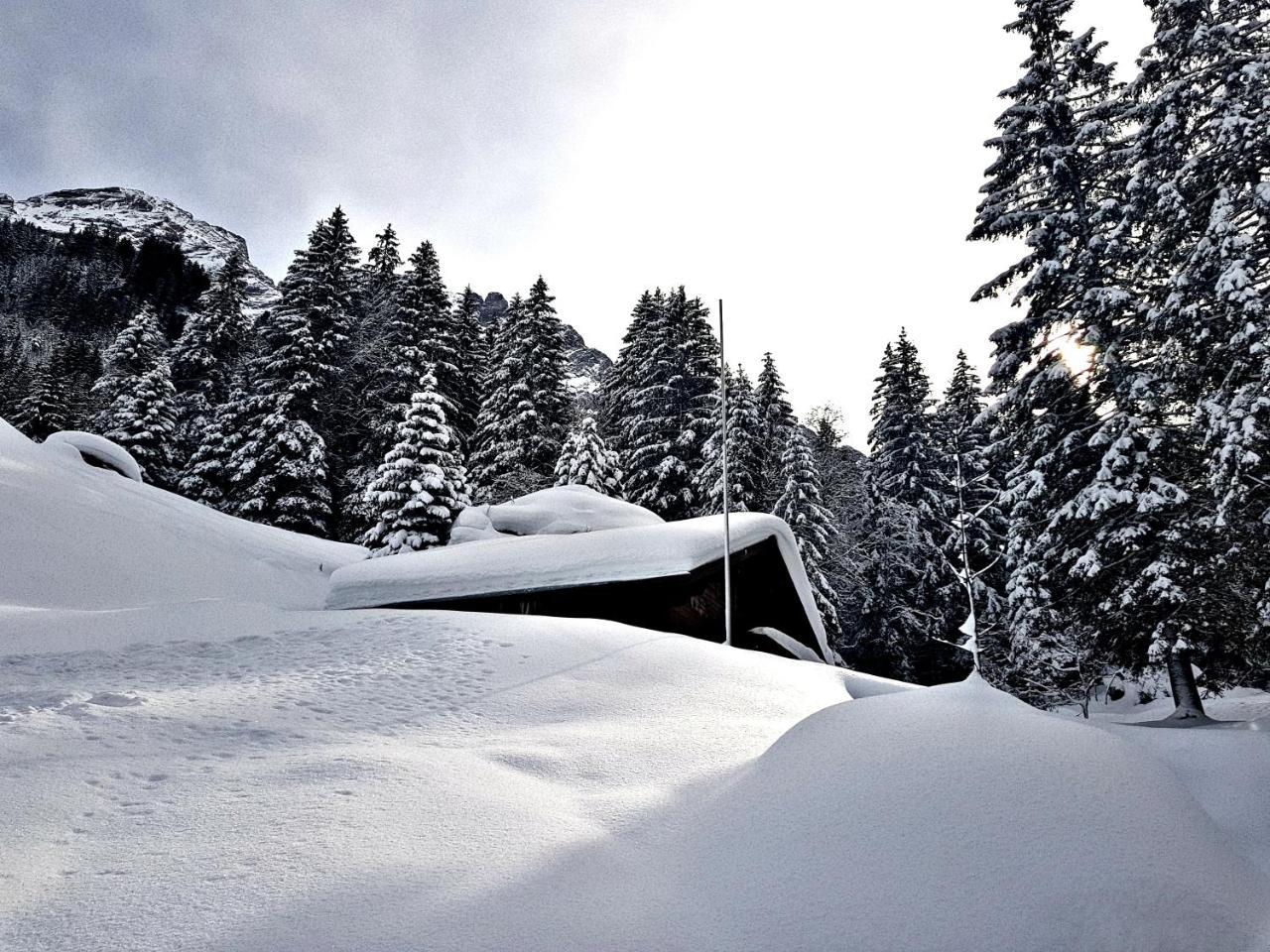 Alpenlodge Willigen Exteriör bild