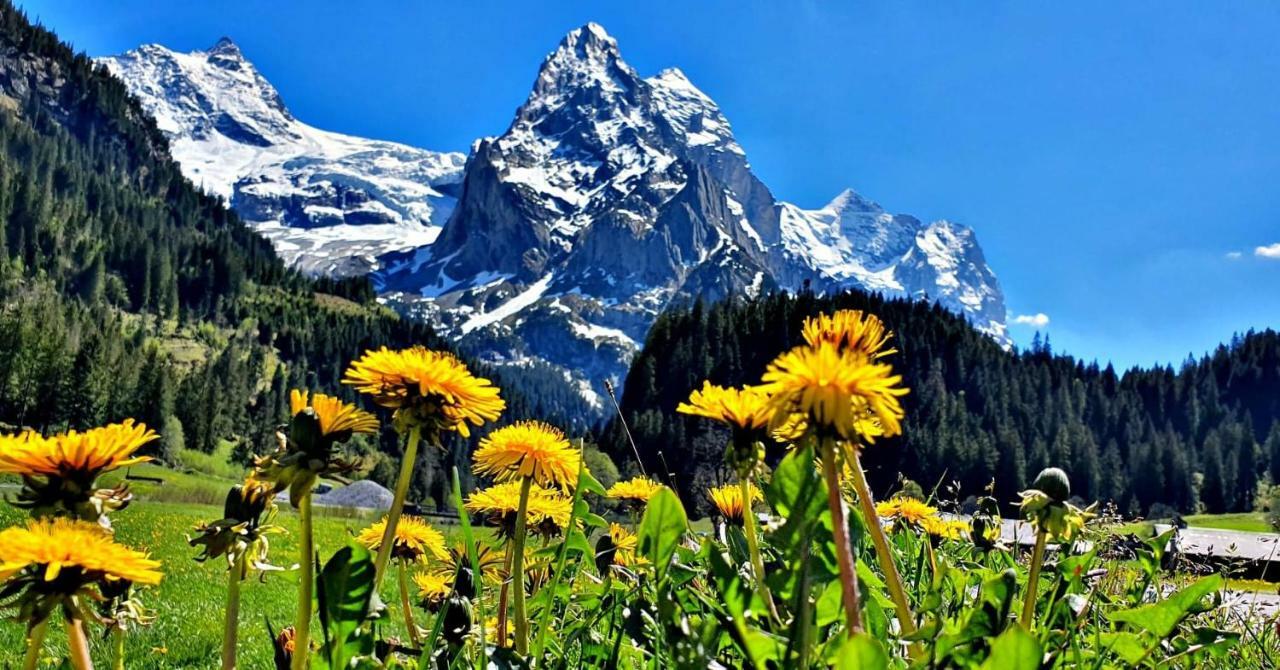 Alpenlodge Willigen Exteriör bild