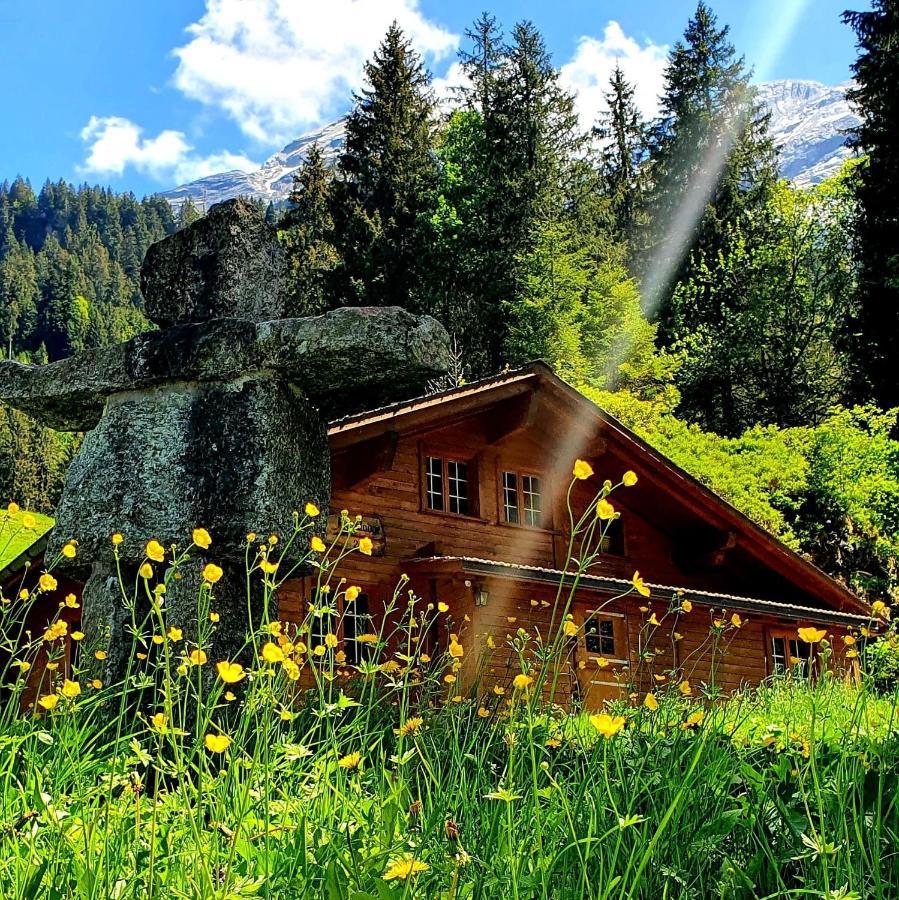 Alpenlodge Willigen Exteriör bild
